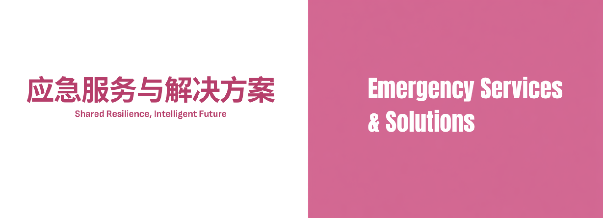 参展范围-应急服务与解决方案