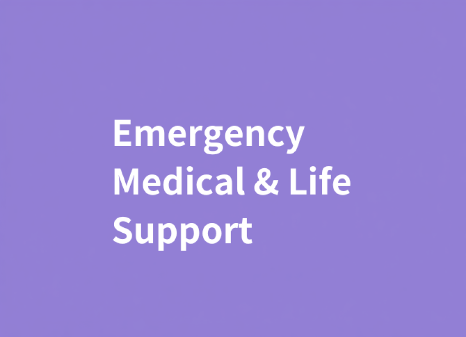 Product Categories-Emergency Command & Communication