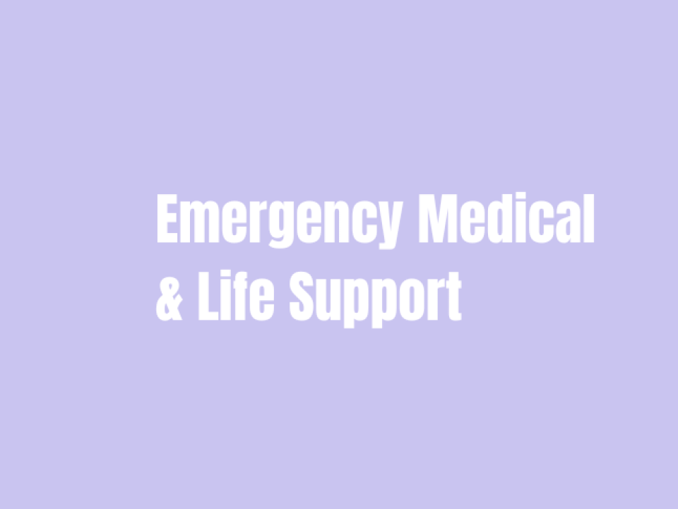 Product Categories-Emergency Command & Communication
