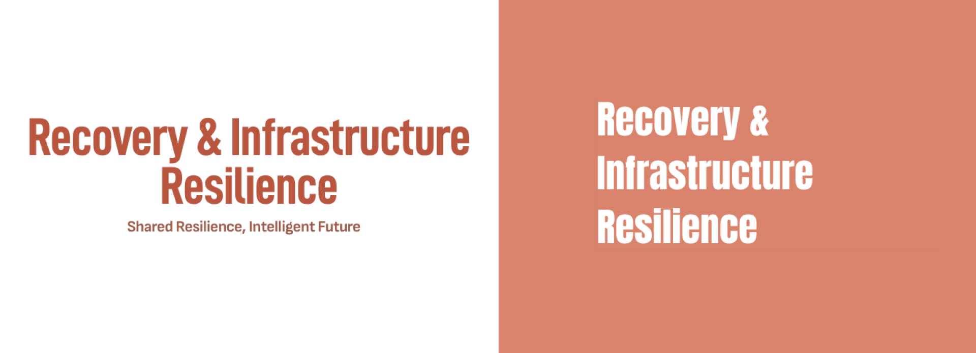 Product Categories-Recovery & Infrastructure Resilience